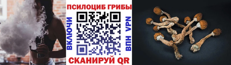 купить наркоту  Пролетарск  Псилоцибиновые грибы Psilocybe 